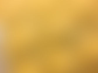 Zitronen-Ricotta Ravioli