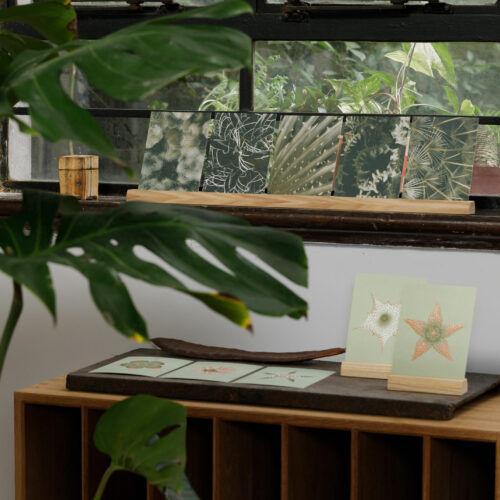 Miniaturbild: Kartenset No15 Ephemeral Blooming