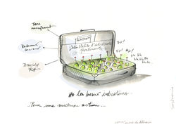 Congrès des Actuaires Paris