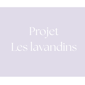 Projet Les Lavandins 