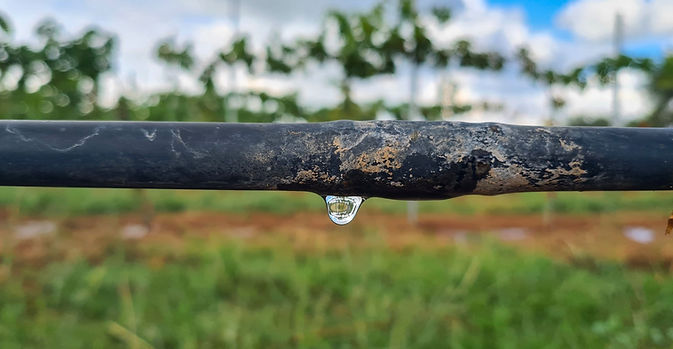 GOBIERNO DEL ESTADO APOYA A PRODUCTORES PARA TECNIFICAR EL RIEGO DE CULTIVOS; REGÍSTRATE