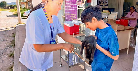 PROTEGE A TUS MASCOTAS CON VACUNAS GRATUITAS, DEL 17 AL 23 DE MAYO