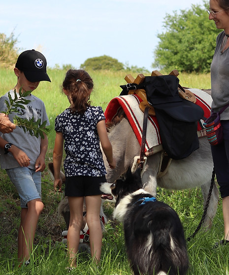 animation nature avec des enfants
