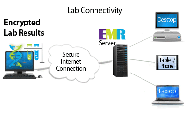 LabConnectivity.gif