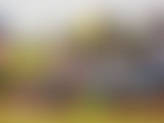 Match Report: 3 July 2021