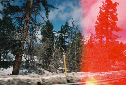 BIG BEAR 1