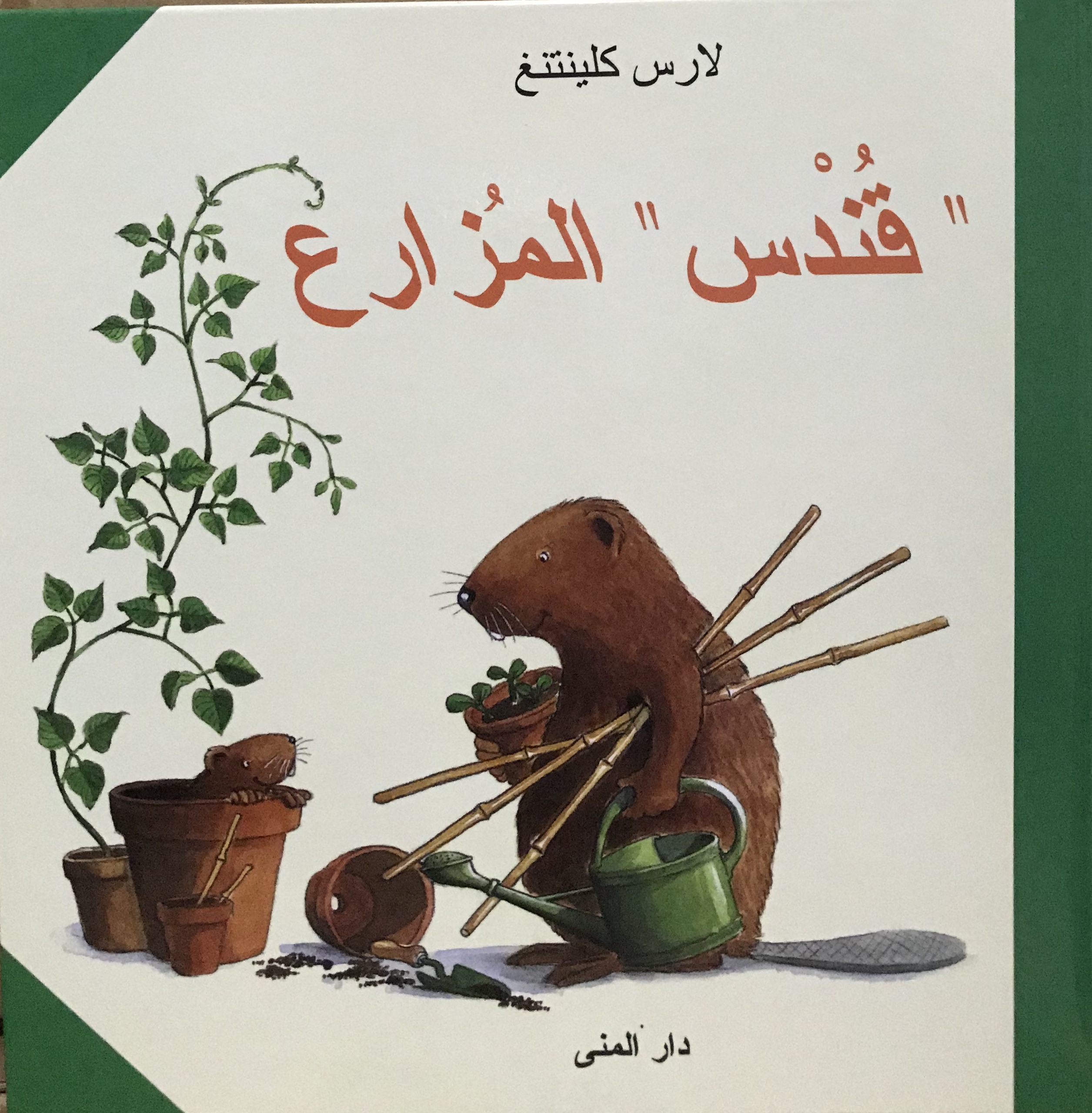 قندس المزارع