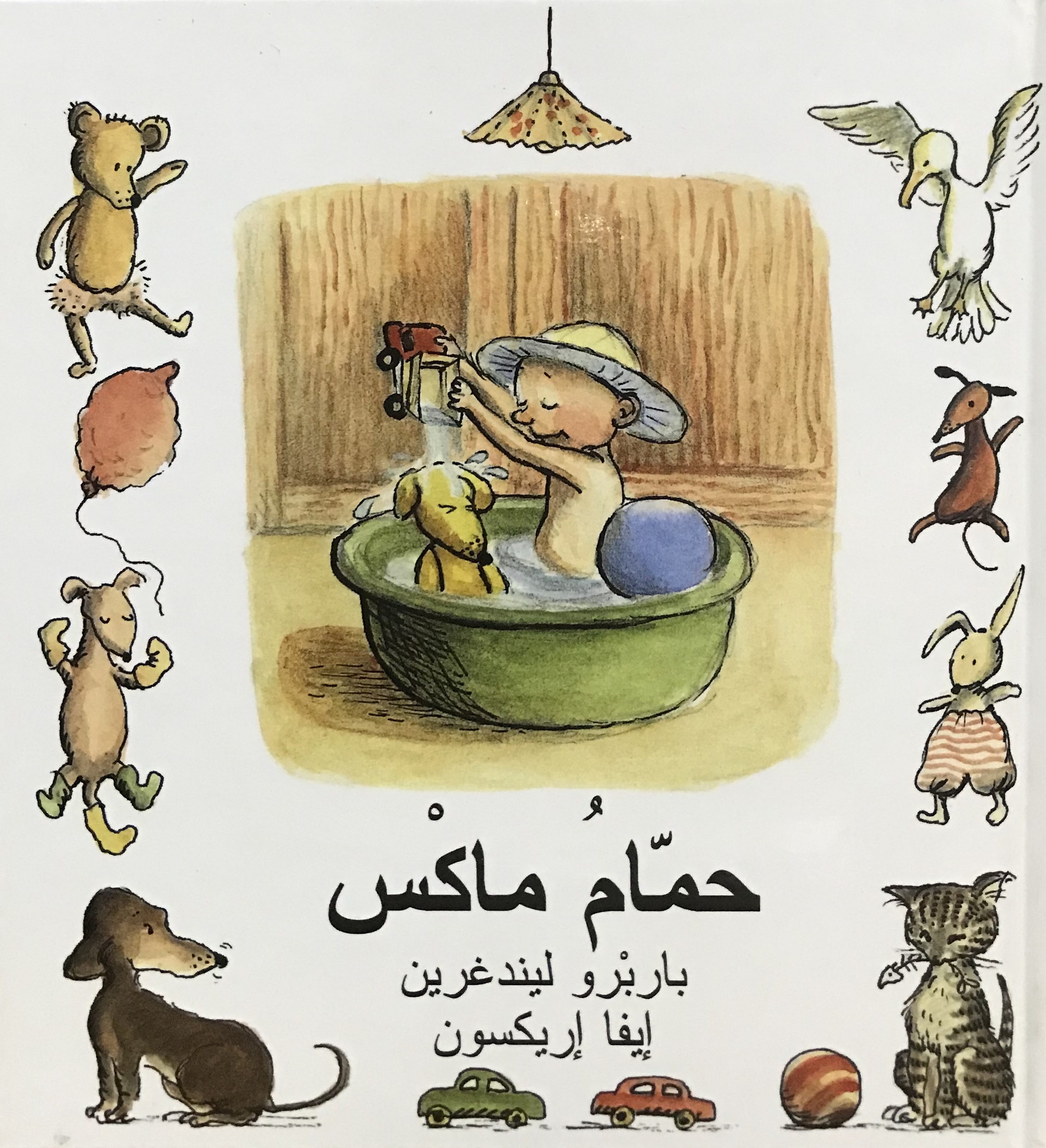 حمام ماكس