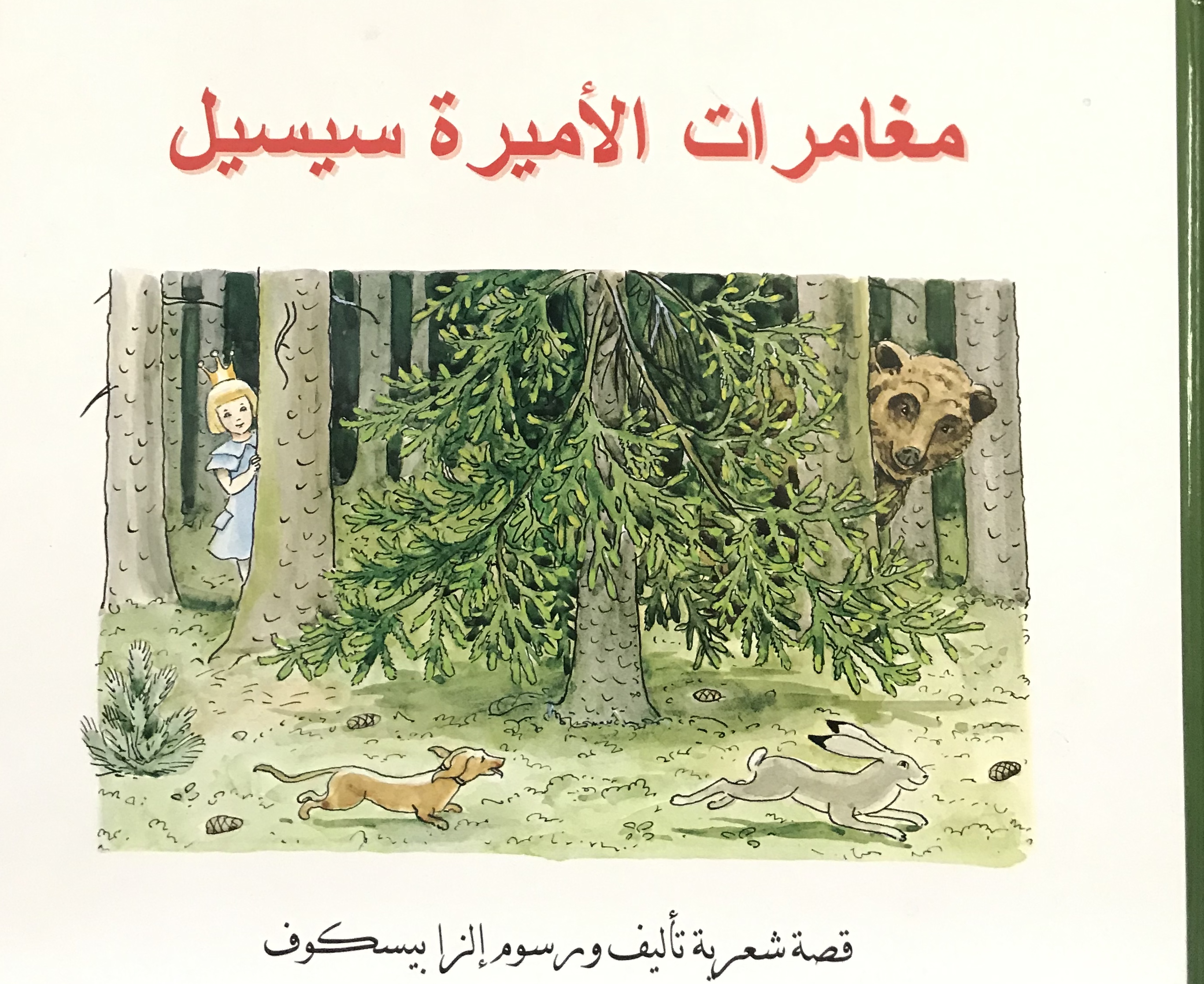 مغامرات الأميرة سيسيل