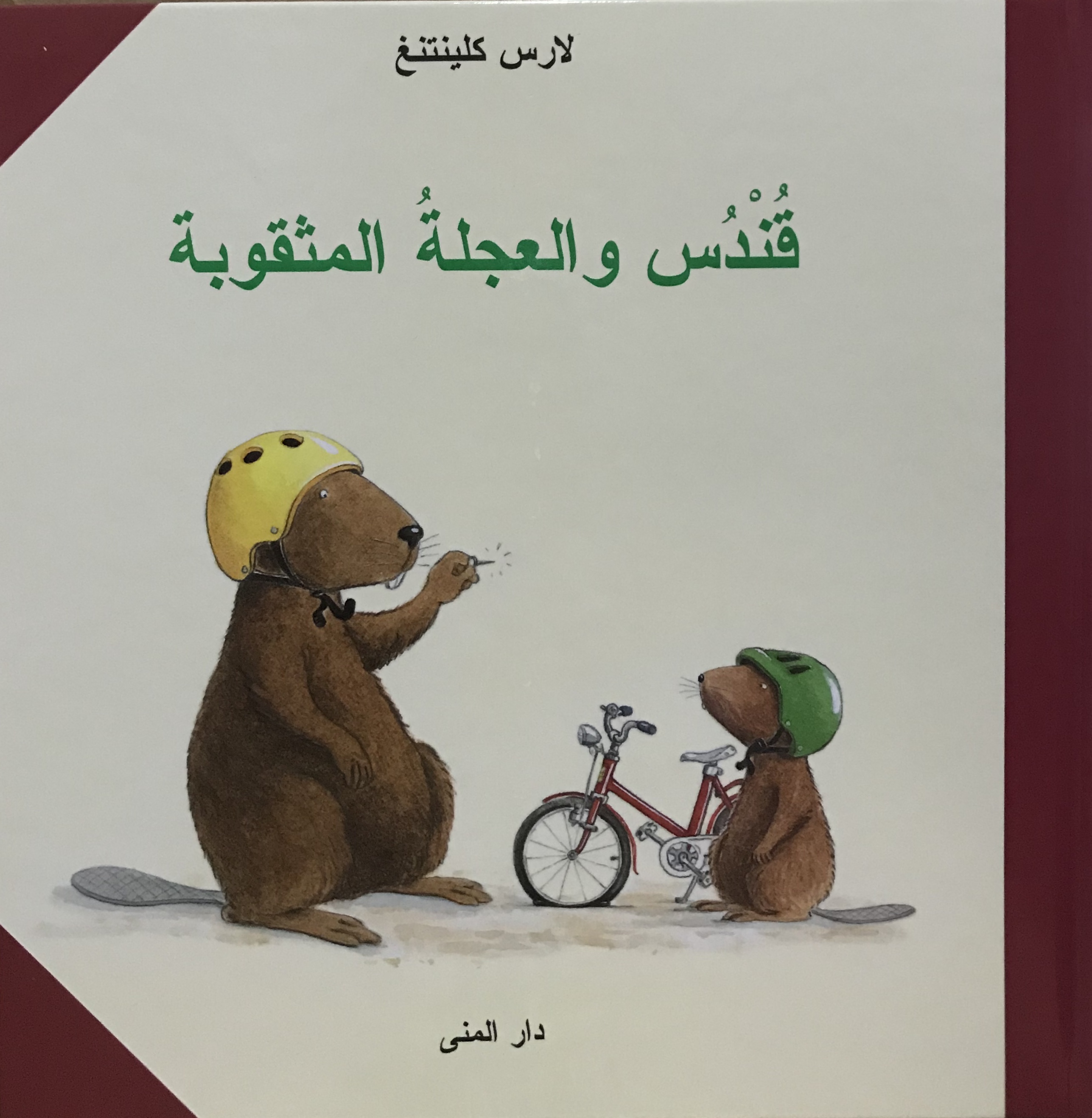 قندس والعجلة المثقوبة