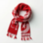Fan Spirit Scarf