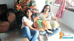 Tonny