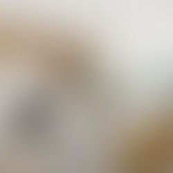 Spacious townhouse in a highly sought-after location in Conifer Grove, Auckland