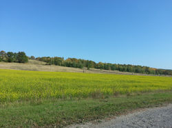 PHOTOGRAPH BY MADINA