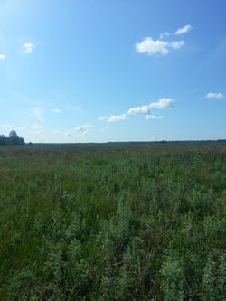 PHOTOGRAPH BY MADINA IUNUSOVA