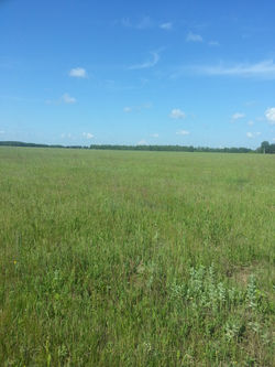 PHOTOGRAPH BY MADINA IUNUSOVA