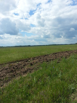 PHOTOGRAPH BY MADINA IUNUSOVA