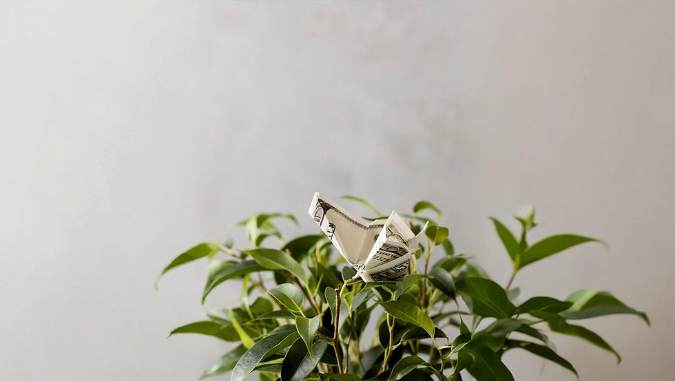 freepik__expand__90471