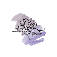 “Classic vanilla sugar cookie flavor icon for Sweet Nepenthe Cookie Co”