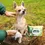 Miniature : lingettes humides biodégradables pour chien et chat