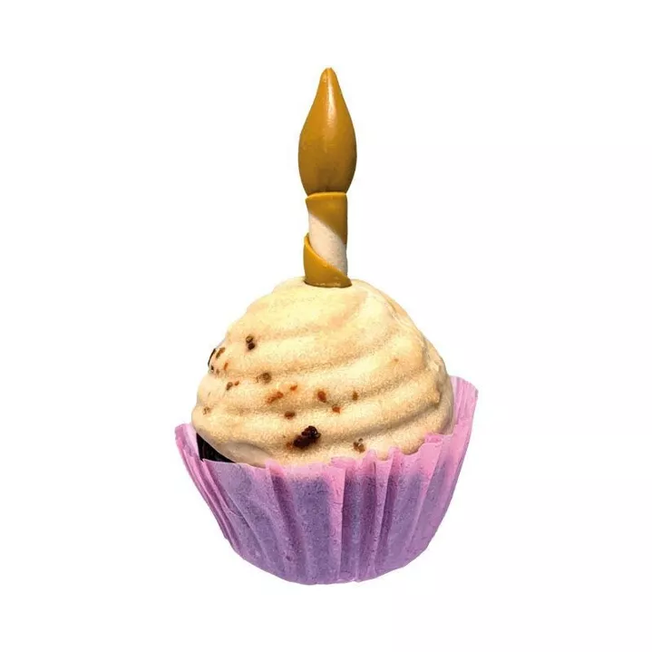 Cupcake pour chiens - Gâteau d'anniversaire