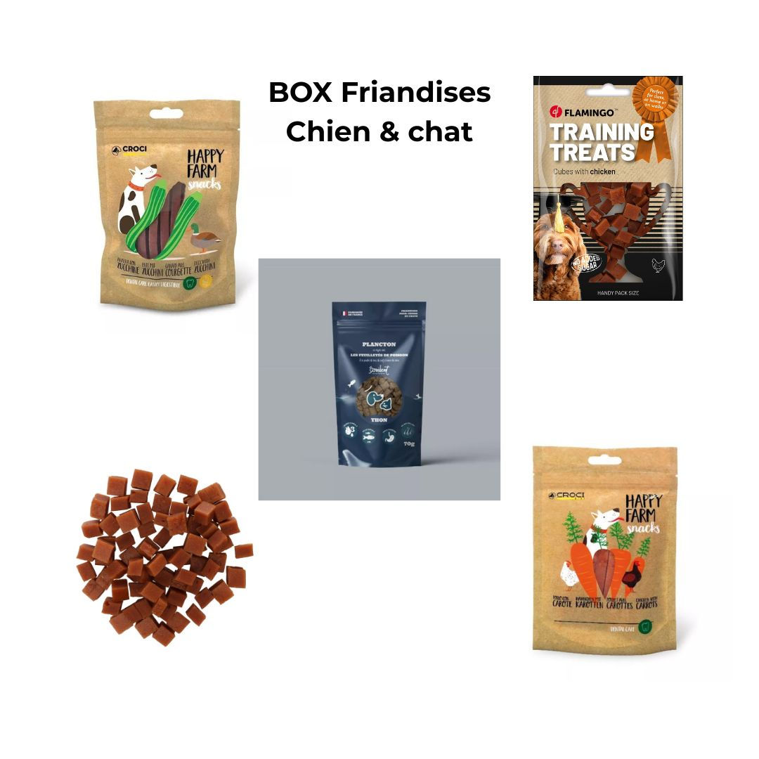 BOX Friandises pour chien et chat !