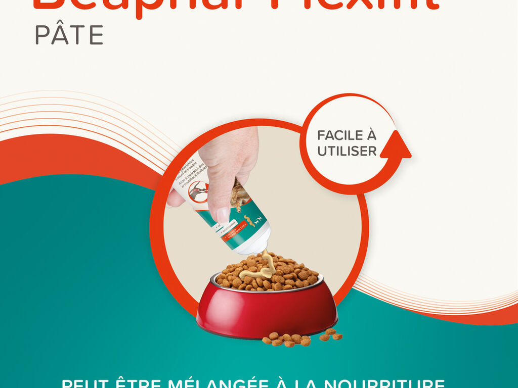 pâte articulations chien chat