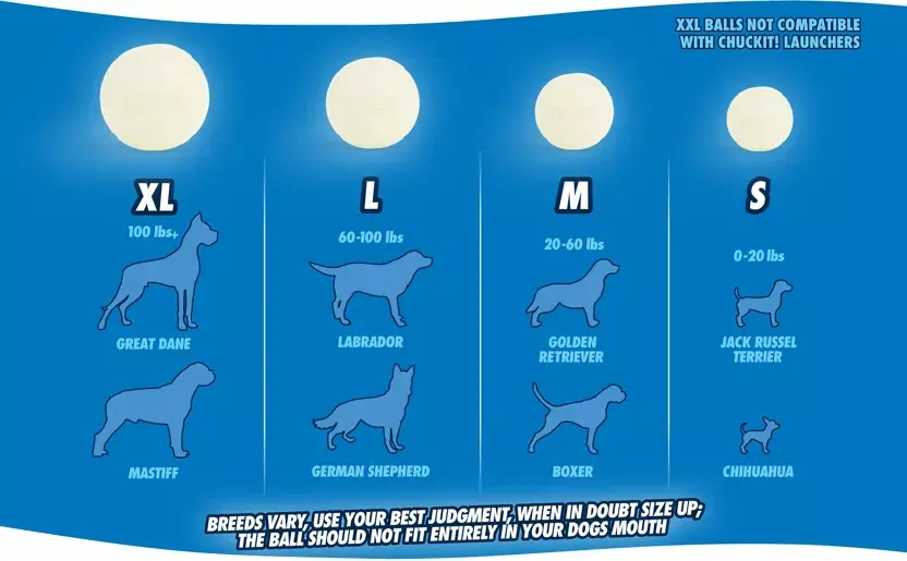 Miniature : balle lumineuse pour chien