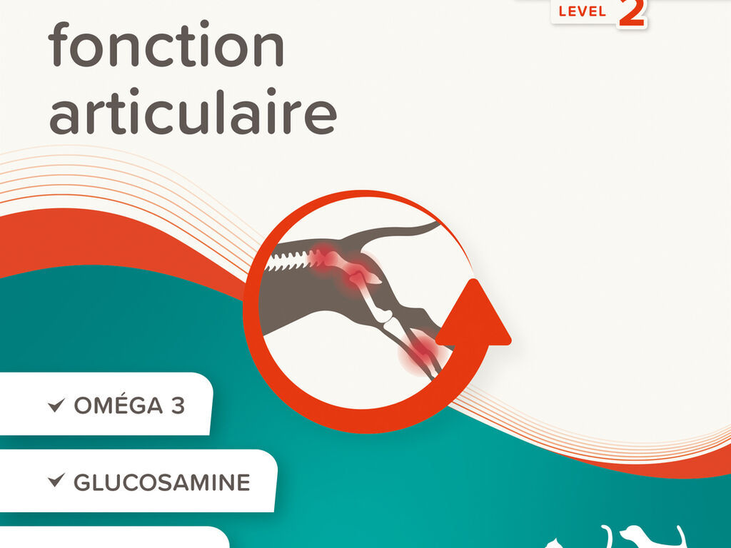 pâte articulations chien chat