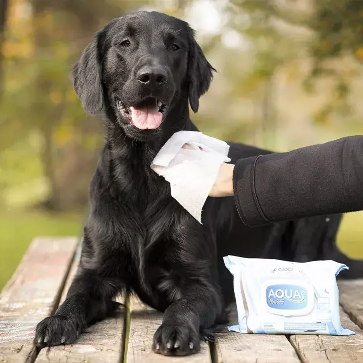 Lingettes pour chiens peaux sensibles
