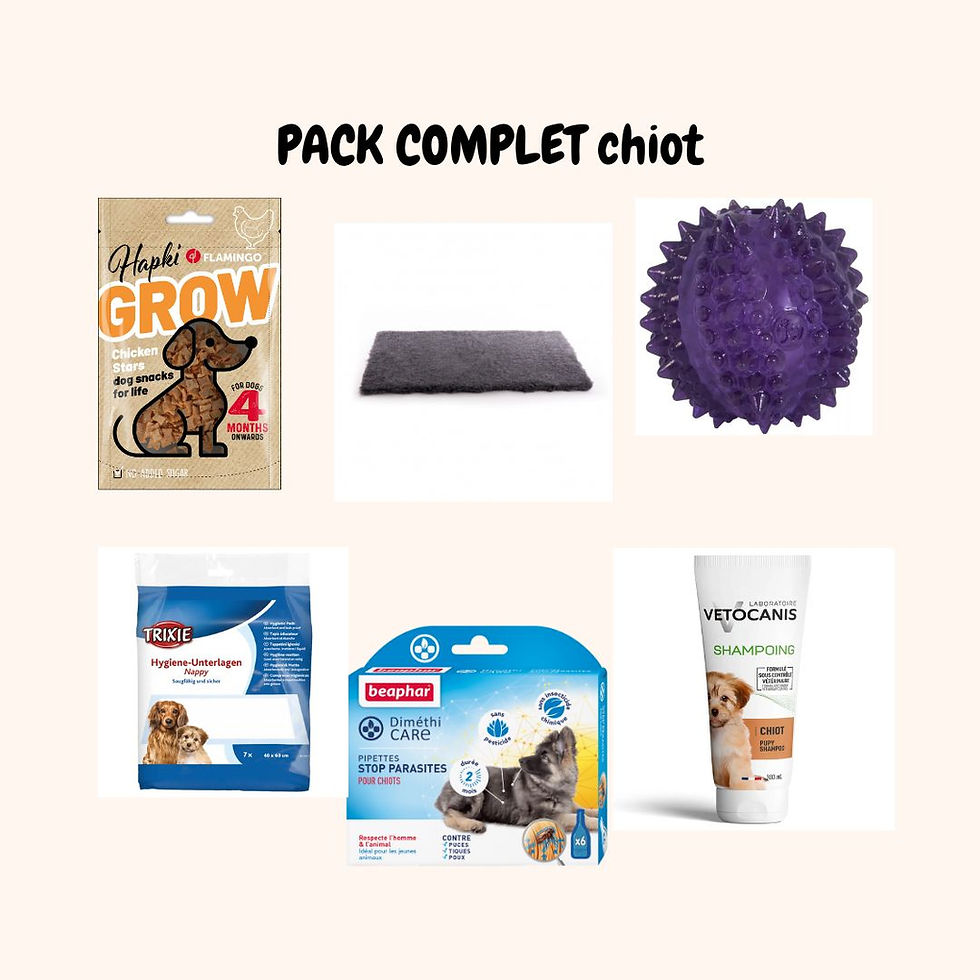 pack démarrage chiot