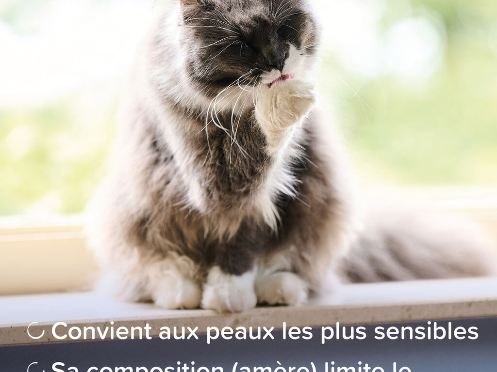 Crème réparatrice pour chien et chat