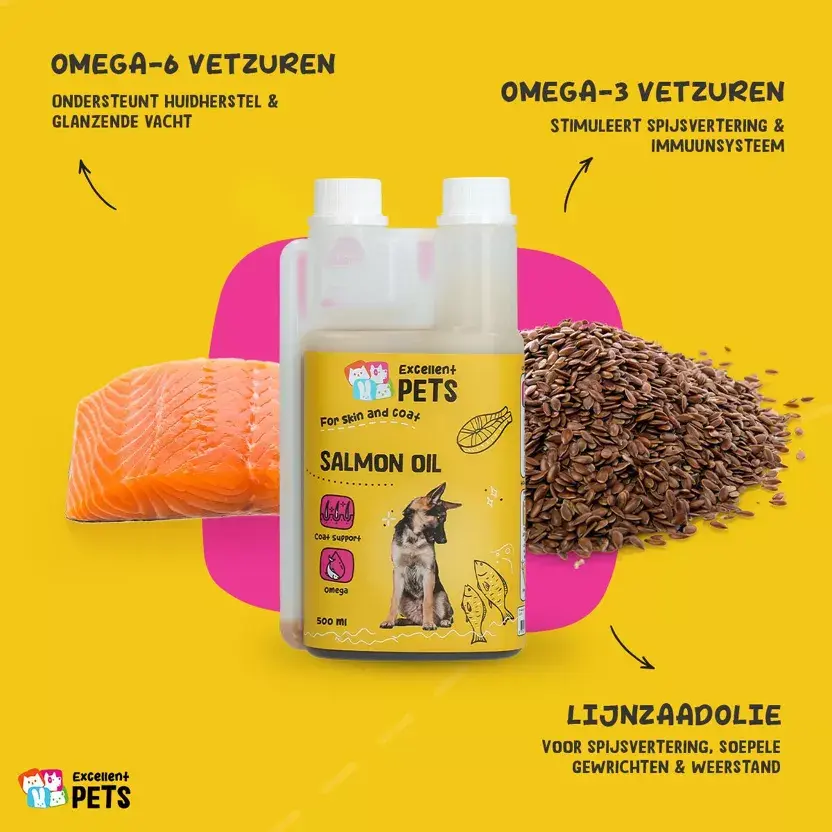 huile de saumon pour chien
