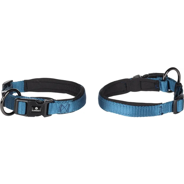 collier confort bleu pour chien