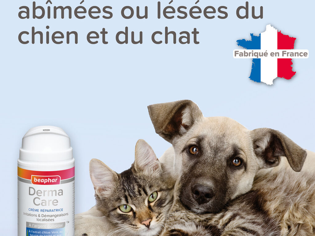 Crème réparatrice pour chien et chat