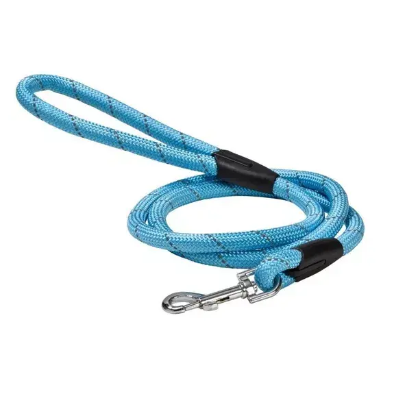 LAISSE CHIEN BLEU