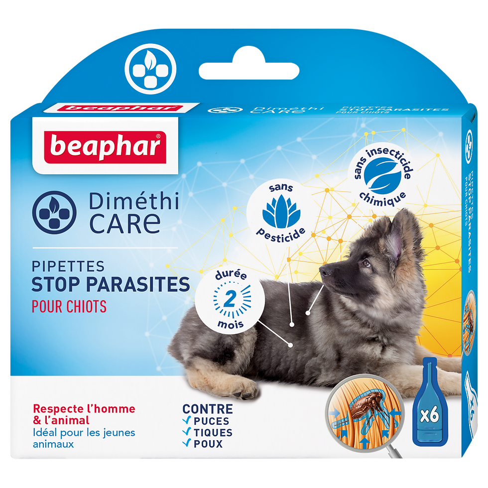 pipette anti parasite chiot