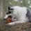 Miniature : jouet pour chien