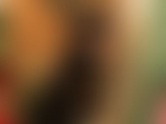 Avoir un chien de catégorie, quelles sont les règles ?