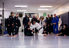 Stray Dogs BJJ