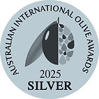 A.I.O.A 2025 SILVER hi res.jpg