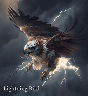 Lightning Bird.jpg