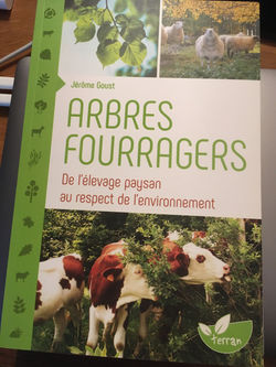 Arbres fourragers