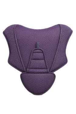 BacksidePurple