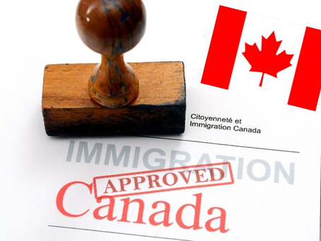 A happy couple reviewing documents together for a spouse visa application to Canada