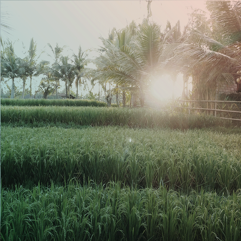 Sunrise at 5.45am in Bali