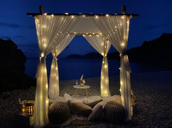 Lit Picnic Proposal