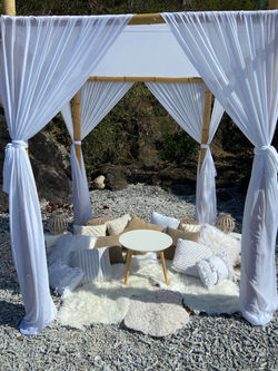Picnic Canopy