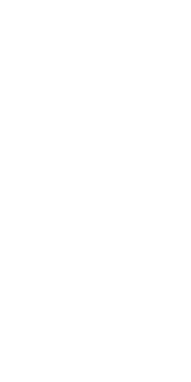 Professional cricket training