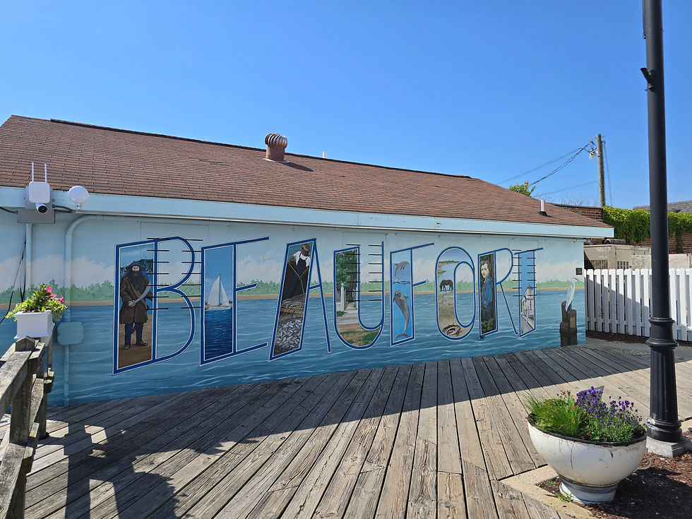 Flood Insurance in Beaufort NC — The Truth Retirees Need to Hear. How Flood Insurance in Beaufort NC Compares to Florida